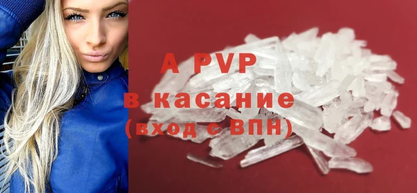 прущие грибы Богородицк