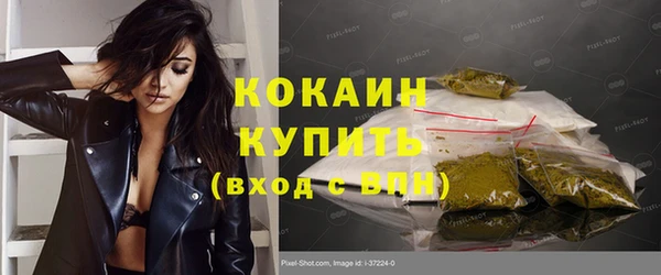 прущие грибы Богородицк