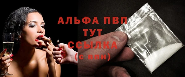 прущие грибы Богородицк