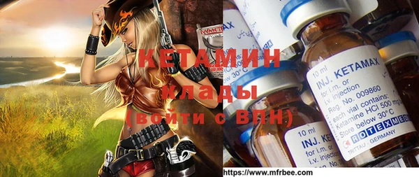 прущие грибы Богородицк