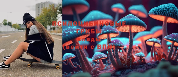 а пвп мука Богданович