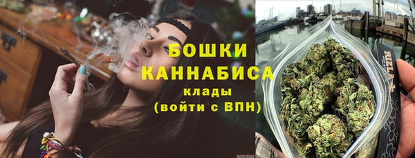 прущие грибы Богородицк