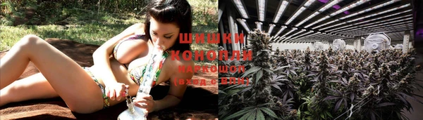 твердый Богородск