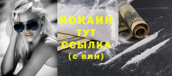 твердый Богородск