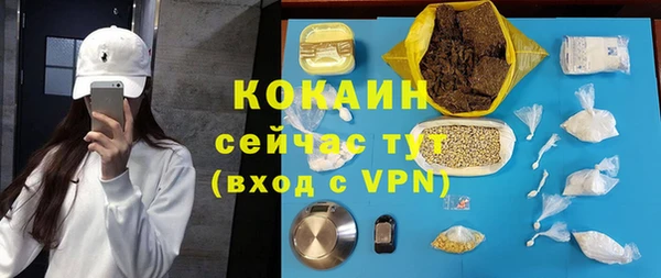твердый Богородск